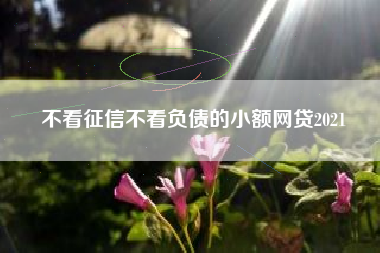 不看征信不看负债的小额网贷2021