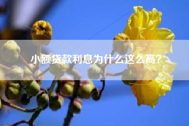 小额贷款利息为什么这么高？