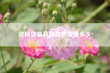 微粒贷最高贷款额度是多少?