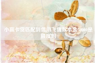 小赢卡贷匹配到信用飞借款本金50000是额度吗
