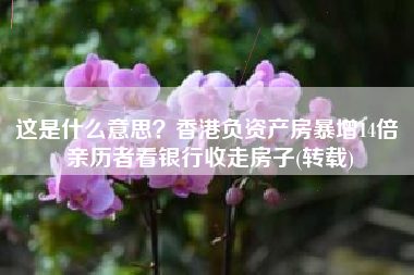 这是什么意思？香港负资产房暴增14倍 亲历者看银行收走房子(转载)