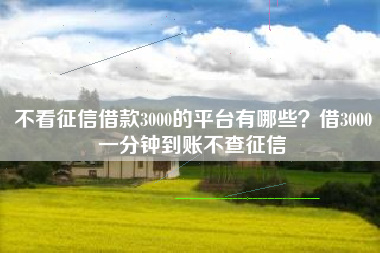 不看征信借款3000的平台有哪些？借3000一分钟到账不查征信