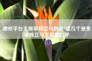 哪些平台无需审核立马到账?这几个是免审核立马下款的口子