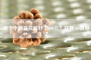 哪个小额贷款能秒下500元？只要500就够了