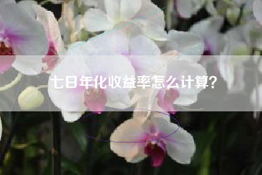 七日年化收益率怎么计算？