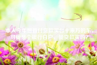 本人今年想首付贷款买台十来万的车，可我是个银行白户，能贷款买吗？