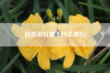 自贡银行属于什么银行?