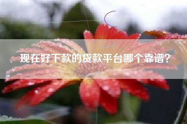 现在好下款的贷款平台哪个靠谱？
