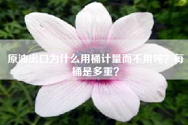 原油出口为什么用桶计量而不用吨？每桶是多重？