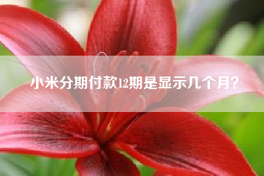 小米分期付款12期是显示几个月？