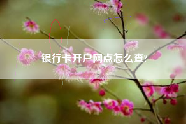 银行卡开户网点怎么查?