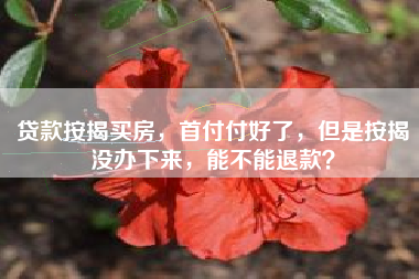 贷款按揭买房，首付付好了，但是按揭没办下来，能不能退款？