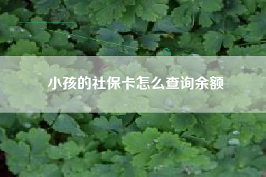 小孩的社保卡怎么查询余额