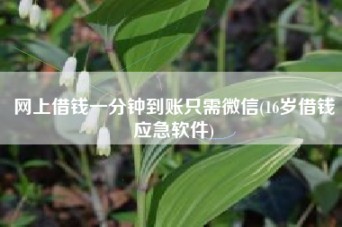 网上借钱一分钟到账只需微信(16岁借钱应急软件)