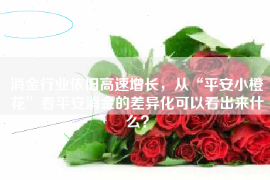 消金行业依旧高速增长，从“平安小橙花”看平安消金的差异化可以看出来什么？