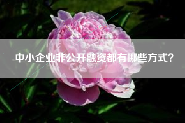 中小企业非公开融资都有哪些方式？
