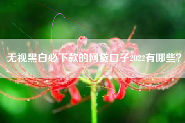 无视黑白必下款的网贷口子2022有哪些？