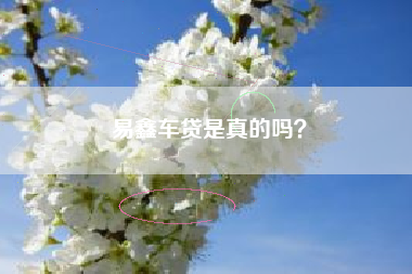 易鑫车贷是真的吗？