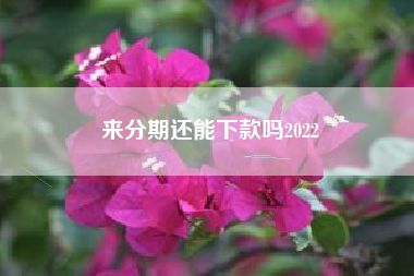 来分期还能下款吗2022
