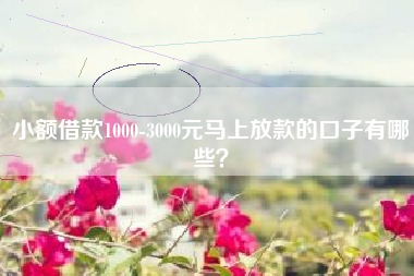 小额借款1000-3000元马上放款的口子有哪些？