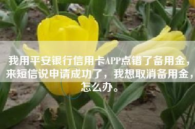我用平安银行信用卡APP点错了备用金，来短信说申请成功了，我想取消备用金，怎么办。
