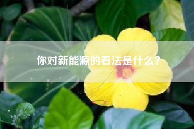 你对新能源的看法是什么？