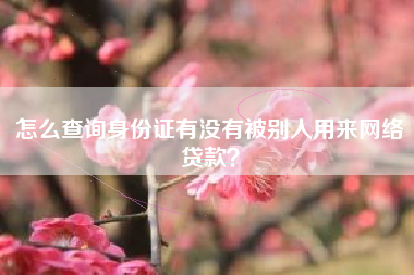 怎么查询身份证有没有被别人用来网络贷款？
