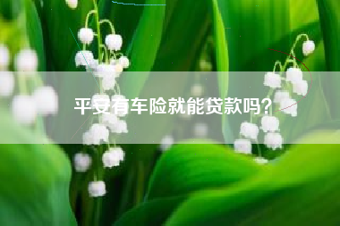平安有车险就能贷款吗？