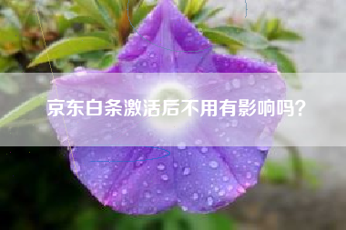 京东白条激活后不用有影响吗？