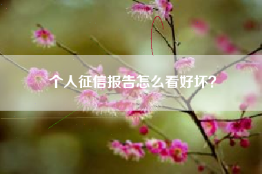个人征信报告怎么看好坏？