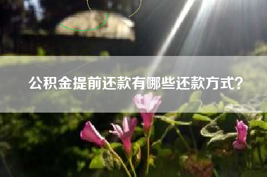 公积金提前还款有哪些还款方式？