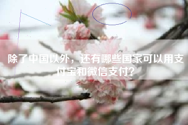 除了中国以外，还有哪些国家可以用支付宝和微信支付？