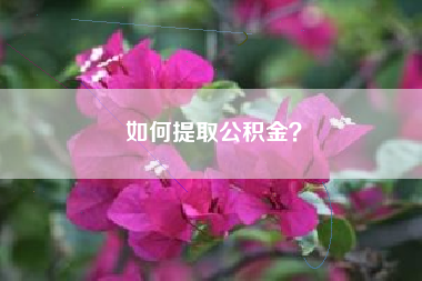如何提取公积金？