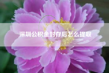 深圳公积金封存后怎么提取