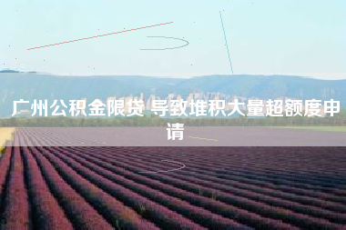 广州公积金限贷 导致堆积大量超额度申请