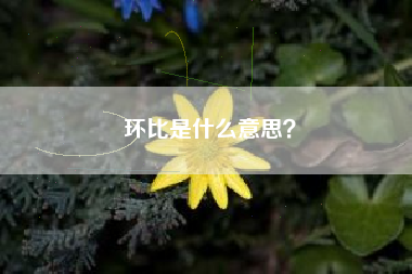 环比是什么意思？