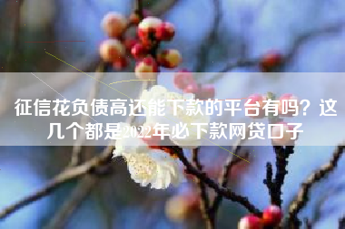 征信花负债高还能下款的平台有吗？这几个都是2022年必下款网贷口子