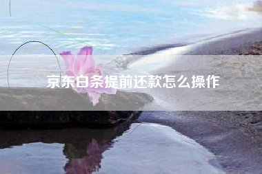 京东白条提前还款怎么操作