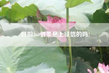 目前360借条是上征信的吗?