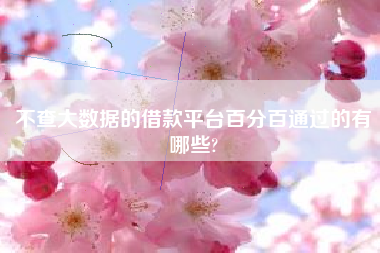 不查大数据的借款平台百分百通过的有哪些?