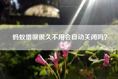 蚂蚁借呗很久不用会自动关闭吗？