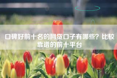 口碑好前十名的网贷口子有哪些？比较靠谱的前十平台