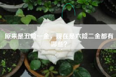 原来是五险一金，现在是六险二金都有哪些？
