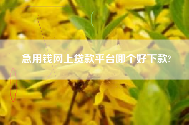 急用钱网上贷款平台哪个好下款?