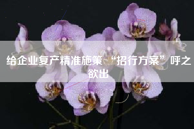 给企业复产精准施策 “招行方案”呼之欲出