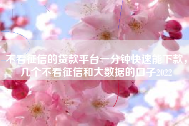 不看征信的贷款平台一分钟快速能下款，几个不看征信和大数据的口子2022