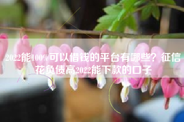 2022能100%可以借钱的平台有哪些？征信花负债高2022能下款的口子