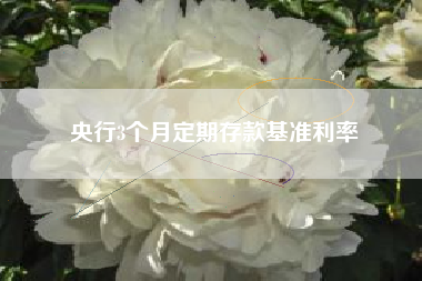 央行3个月定期存款基准利率