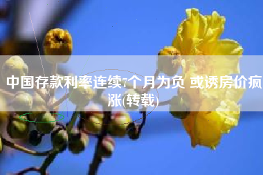 中国存款利率连续7个月为负 或诱房价疯涨(转载)