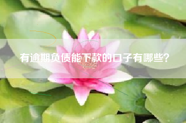 有逾期负债能下款的口子有哪些？